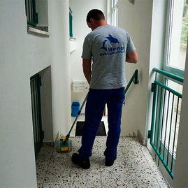 Hausreinigung in Wien und Niederösterreich