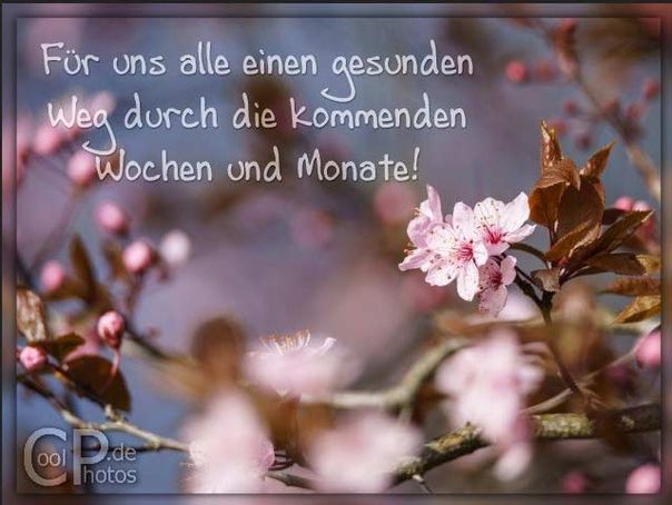 Flächendesinfektion
