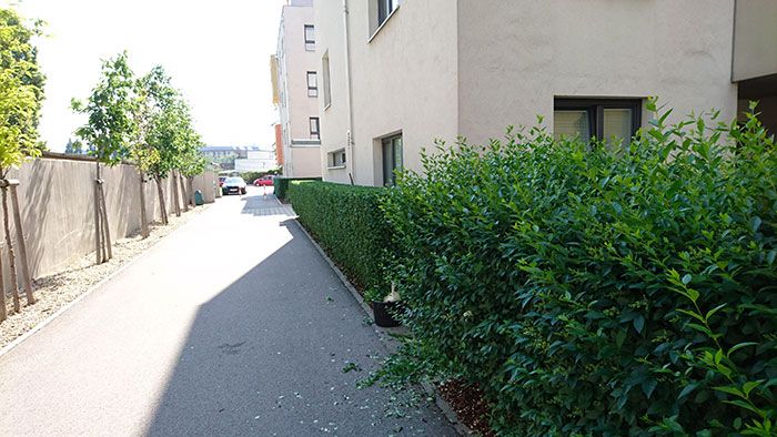 Grünflächenbetreuung