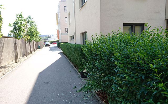 Grünflächenbetreuung